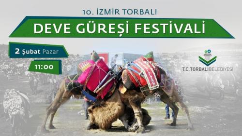 Torbalı Belediyesi 10. Deve Güreşleri Festivali 
